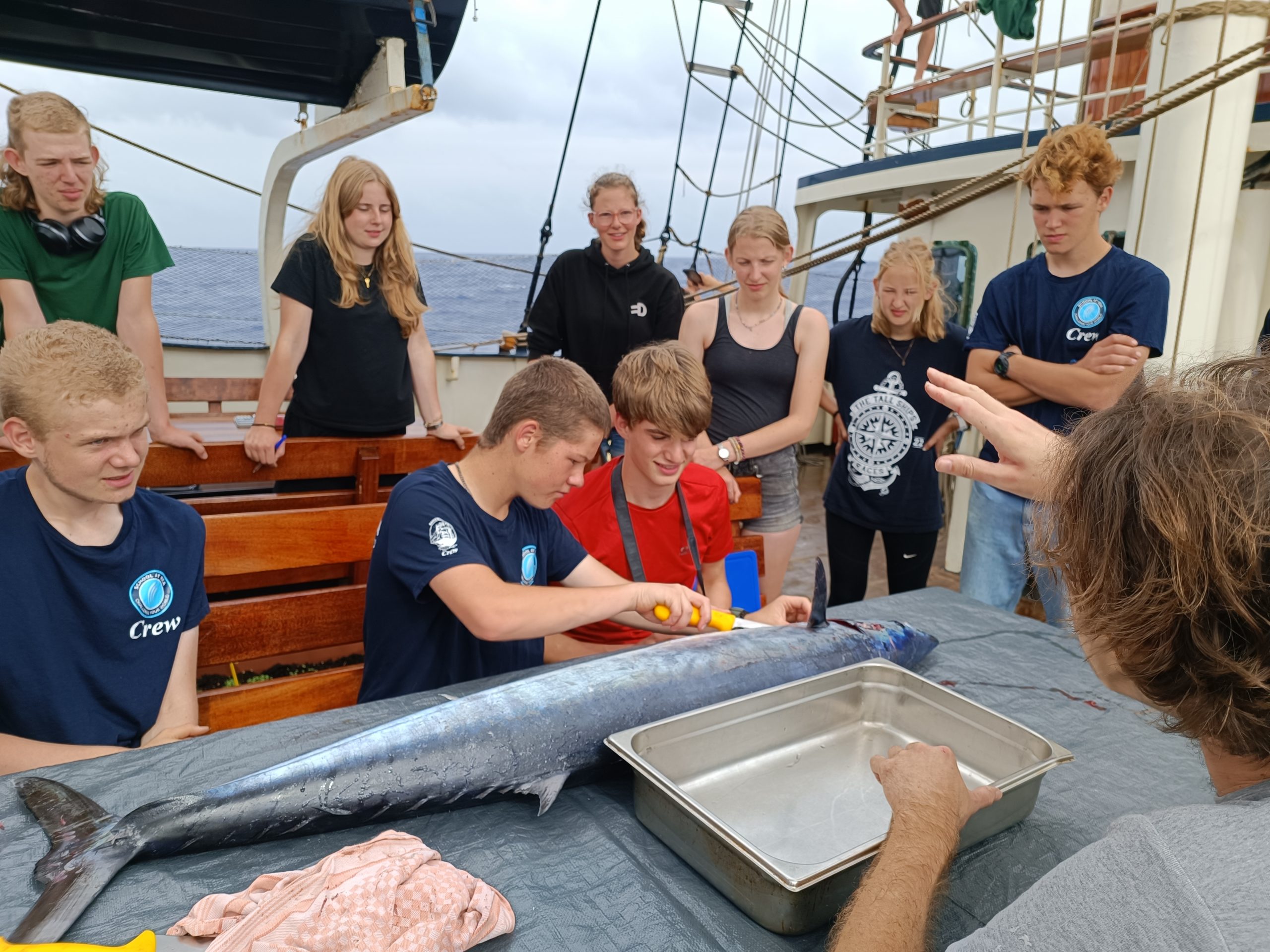 VIS!!!!!! School at Sea